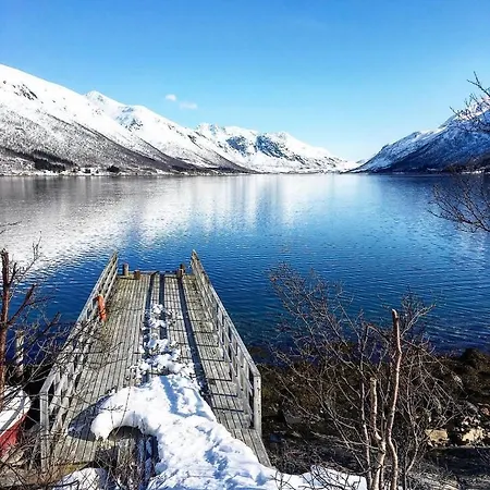 Homestay Melishome: Aurora Observatory Tromso