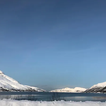 Melishome: Aurora Observatory *