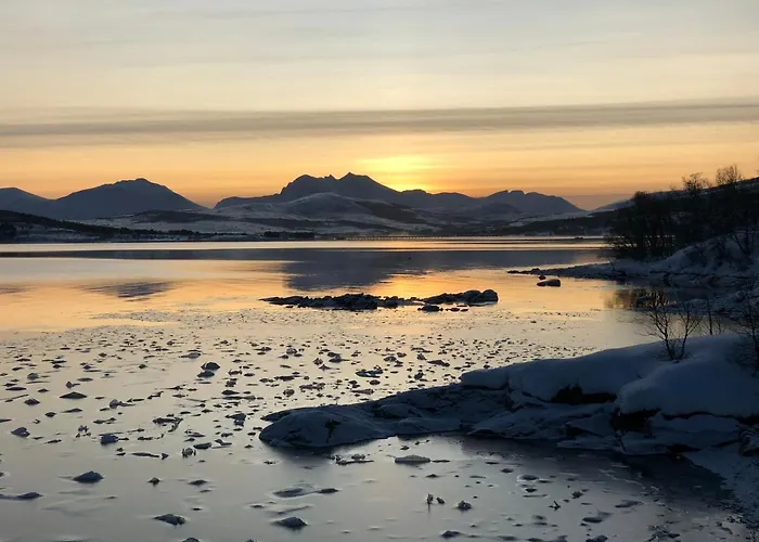 Melishome: Aurora Observatory