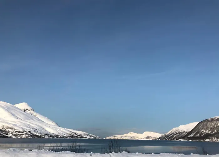 Melishome: Aurora Observatory *