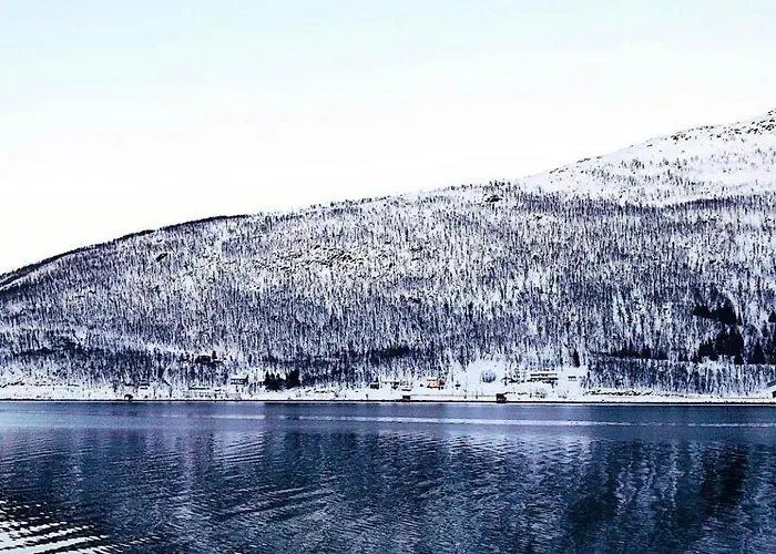 Hotel Melishome: Aurora Observatory